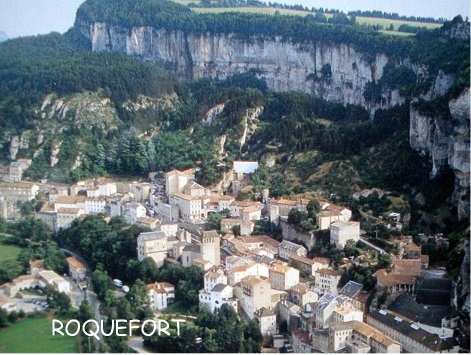 Saint-Rome-de-Tarn Les Palmiers Des Causses 빌라 외부 사진