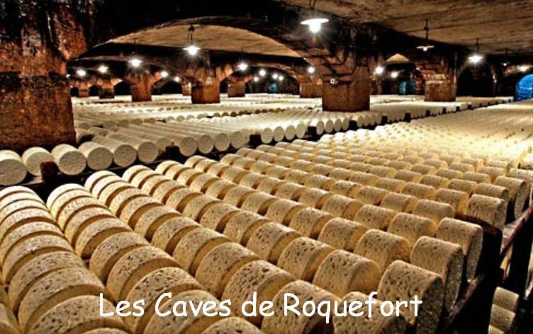 Saint-Rome-de-Tarn Les Palmiers Des Causses 빌라 외부 사진