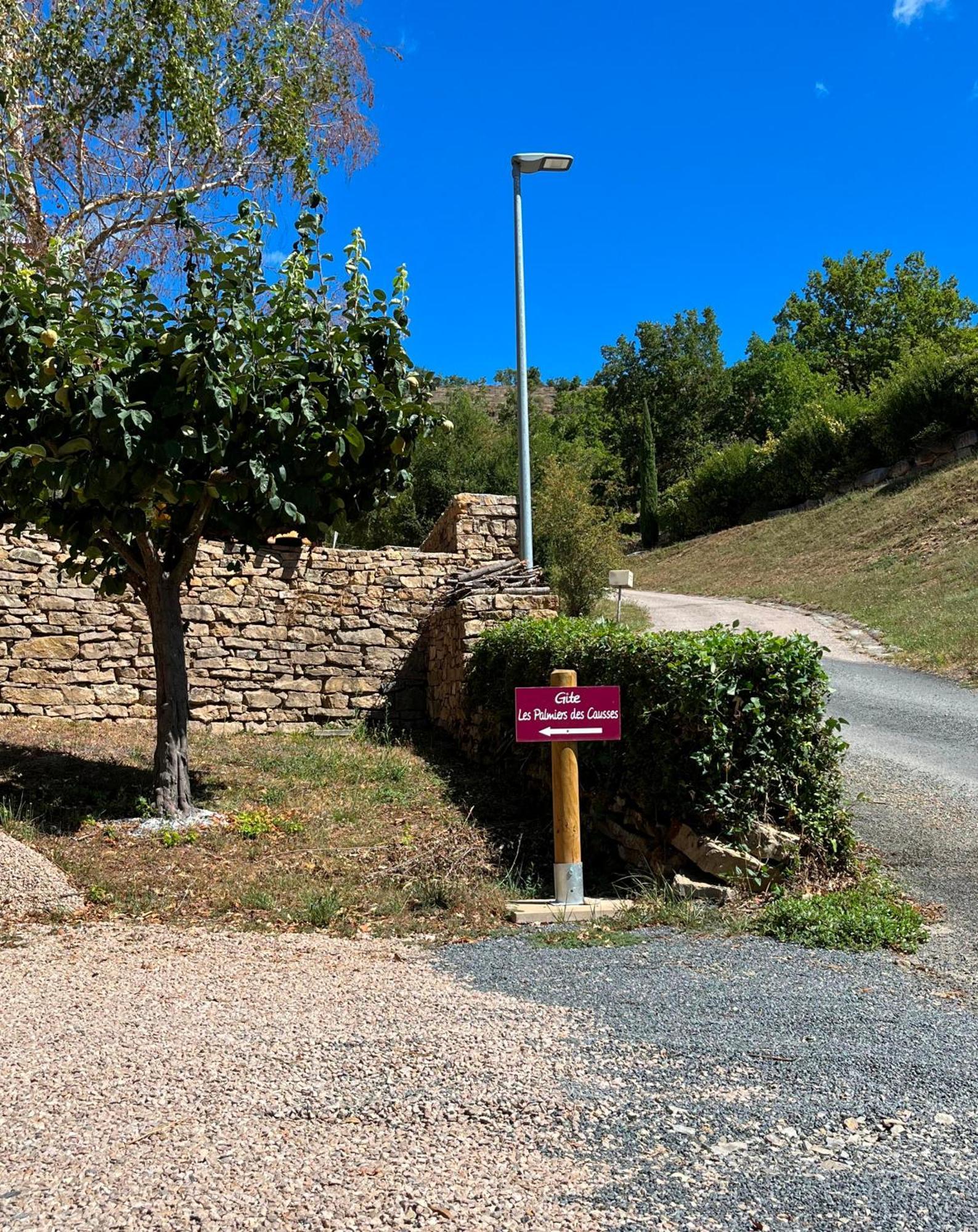 Saint-Rome-de-Tarn Les Palmiers Des Causses 빌라 외부 사진